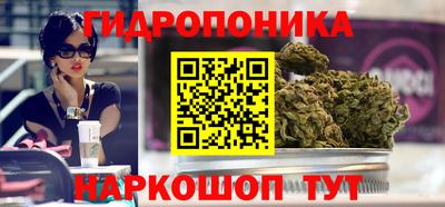гашик Бузулук