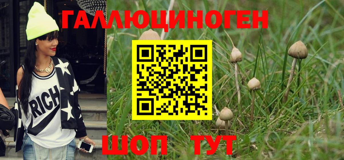 Галлюциногенные грибы прущие грибы Геленджик