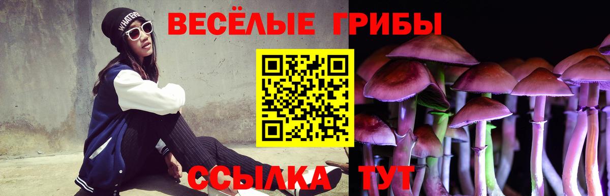 Псилоцибиновые грибы MAGIC MUSHROOMS  Вход с VPN  Геленджик 